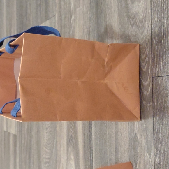 Authentic Louis Vuitton Gift Bag - Picture 5 of 9